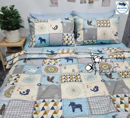 Album 4 Món Drap gối cotton  hàn quốc 01