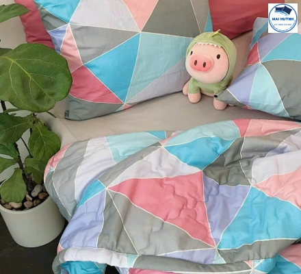 Album 4 Món Drap gối cotton  hàn quốc 01