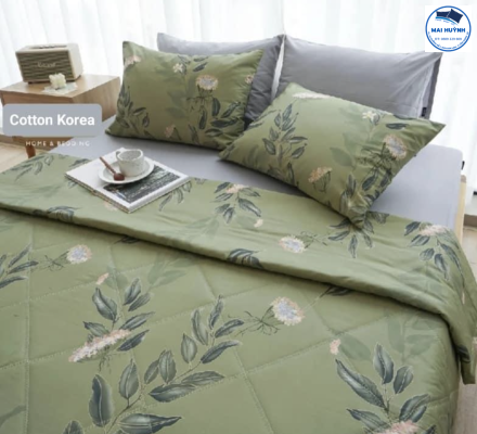 Album 4 Món Drap gối cotton  hàn quốc 01