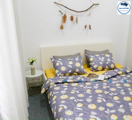 Album 4 Món Drap gối cotton  hàn quốc 01