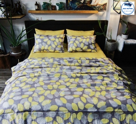 Album 4 Món Drap gối cotton  hàn quốc 02