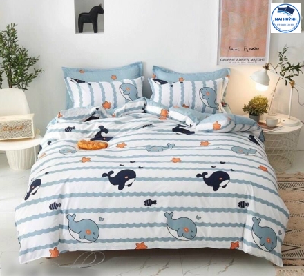 Album 4 Món Drap gối cotton  hàn quốc 02