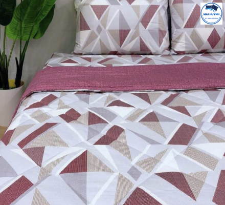 Album 4 Món Drap gối cotton  hàn quốc 02