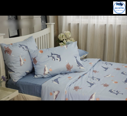 Album 4 Món Drap gối cotton  hàn quốc 01